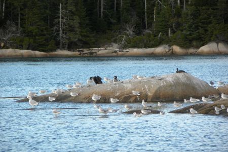 DSCN6730.jpg